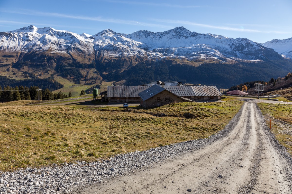 Alp Stätz auf der Lenzerheide in Graubünden