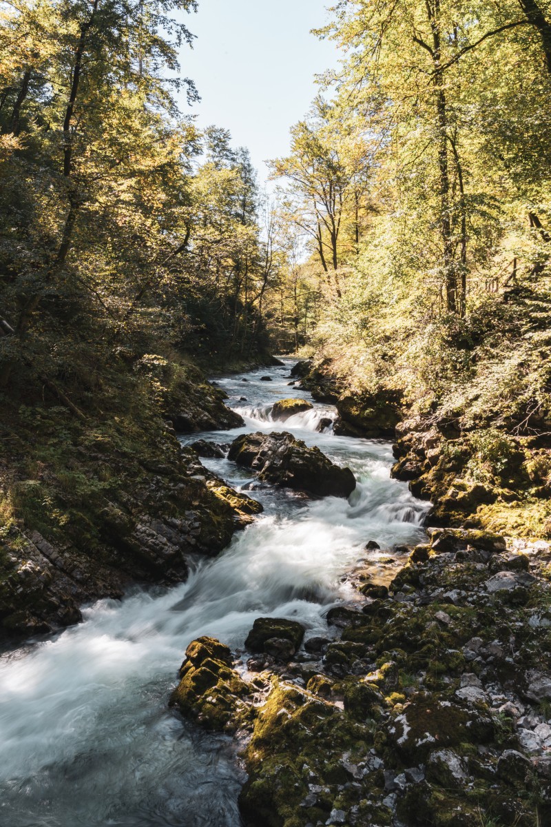 Vintgar-Klamm Triglav-Nationalpark in Slowenien