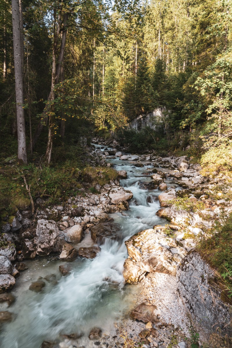 Zauberwald in Ramsau bei Berchtesgaden