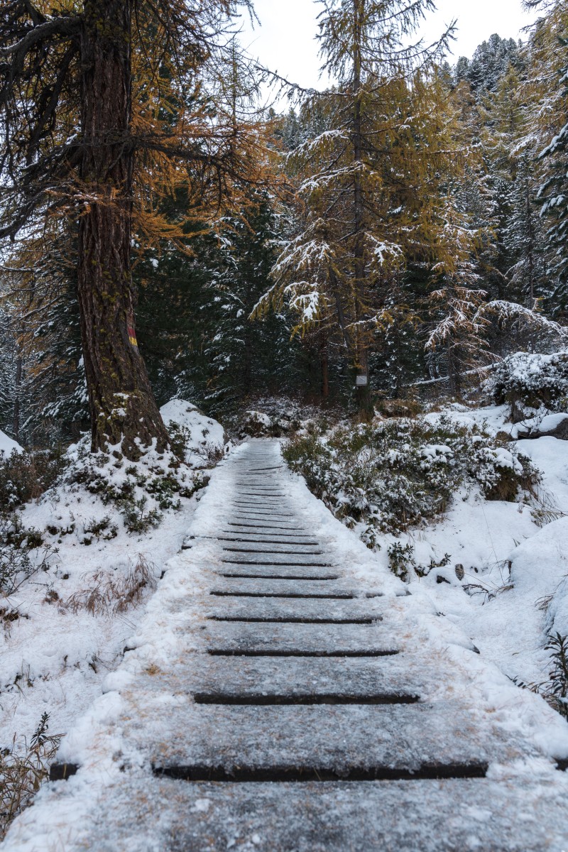 Wanderweg in der Albula-Region