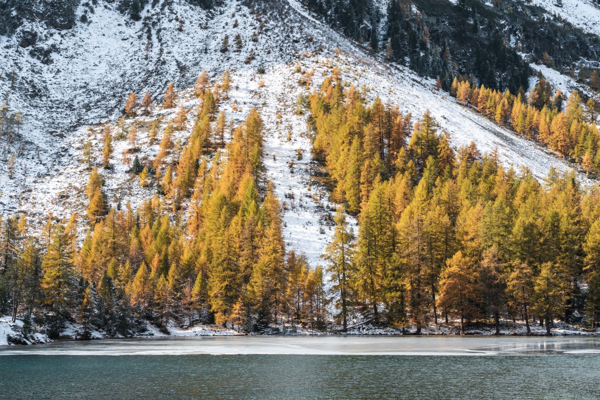 Palpuognasee mit Herbstfarben