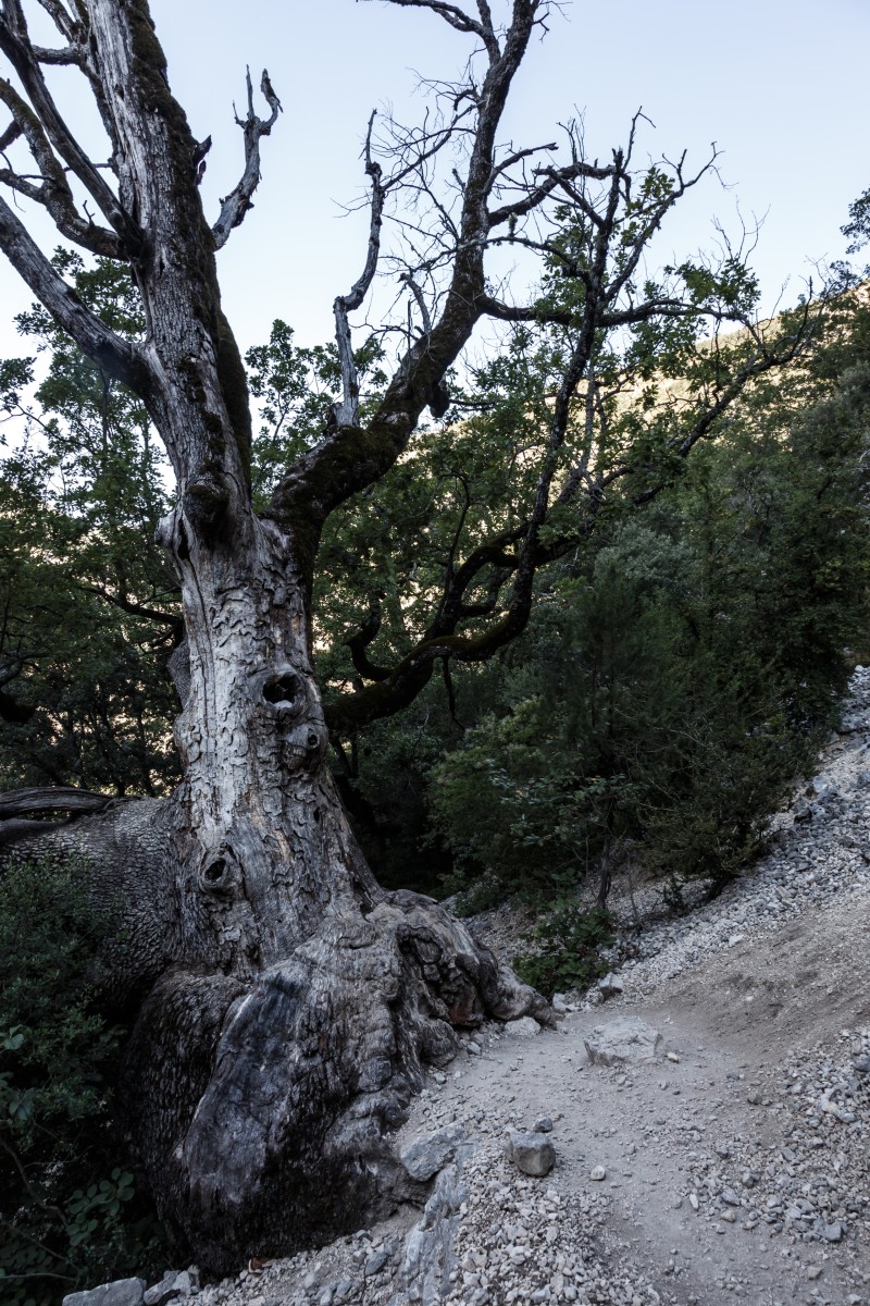 Abstieg vom Chalet de la Maline in die Gorges du Verdon