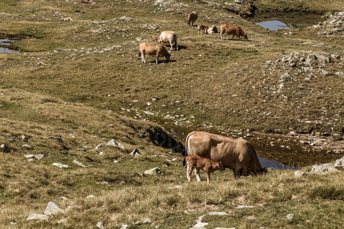 Cirque de Troumouse im Nationalpark Pyrenäen