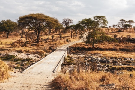 Tarangire National Park in Tansania