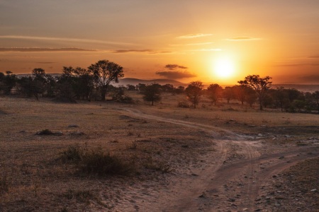 Sonnenaufgang über der Serengeti