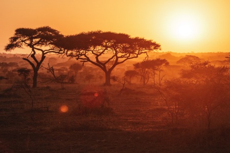 Sonnenaufgang über der Serengeti