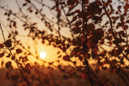 Sonnenaufgang im Saarland