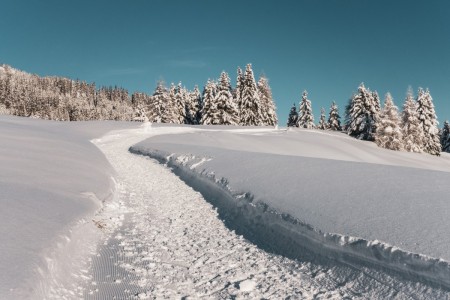 Wanderweg in Parpan in der Schweiz