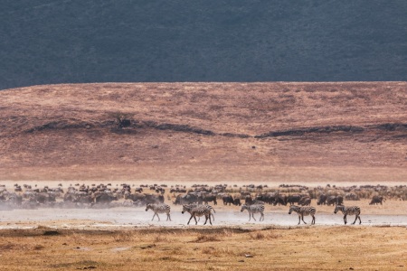 Ngorongoro-Krater