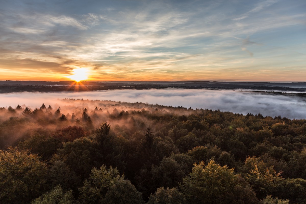 Sonnenaufgang am Schwarzenbergturm in Saarbrücken