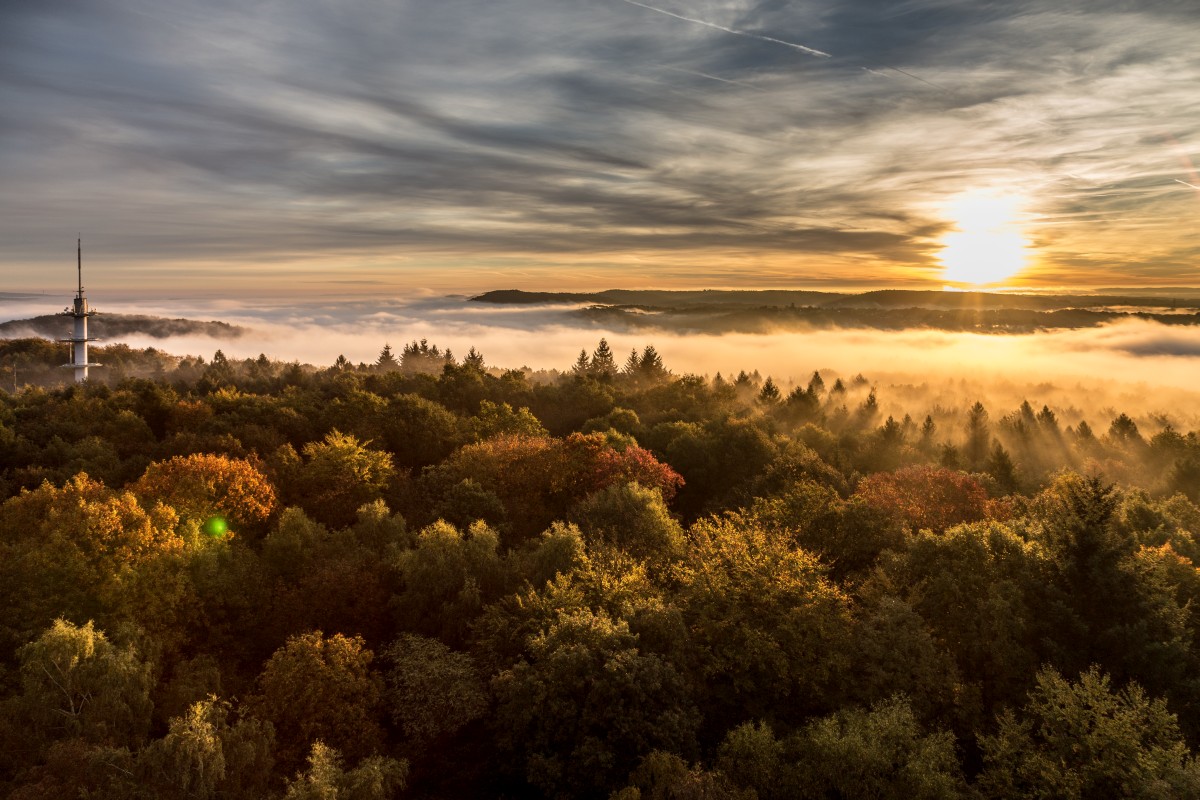 Sonnenaufgang am Schwarzenbergturm in Saarbrücken