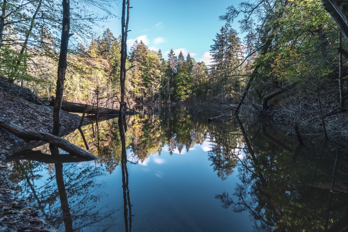 Weiher bei Otzenhausen im Nationalpark Hunsrück-Hochwald