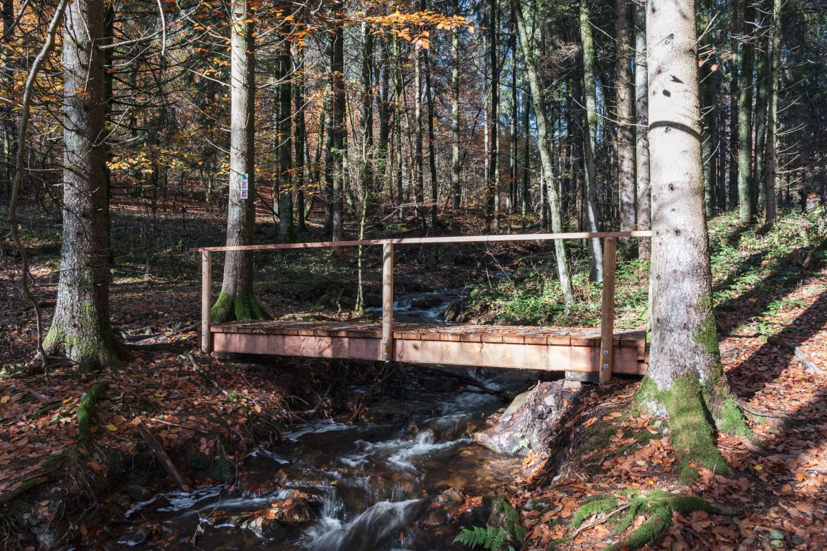 Bach bei Weiskirchen im Herbst