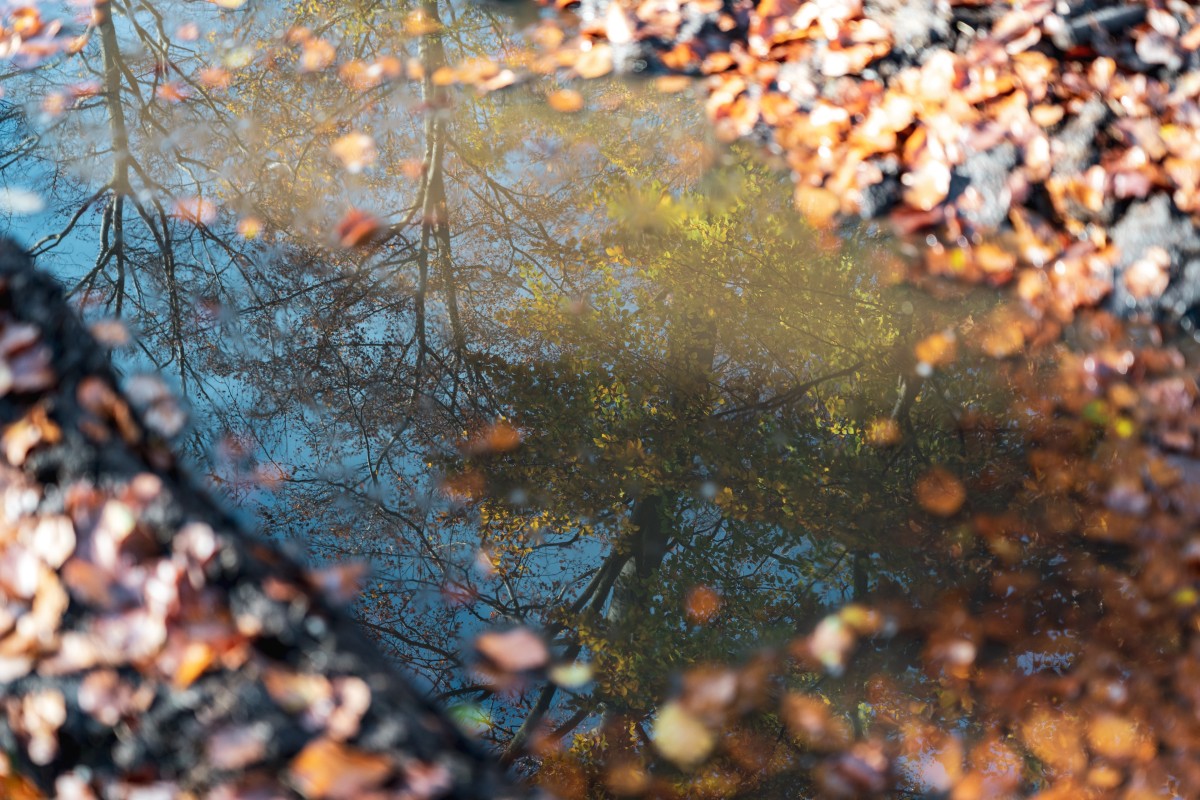 Weiskircher Wildnis-Trail im Herbst
