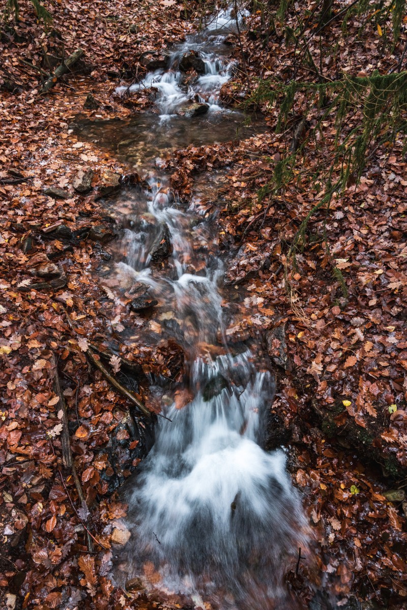 Herbstfarben und Bach im Wald bei Weiskirchen
