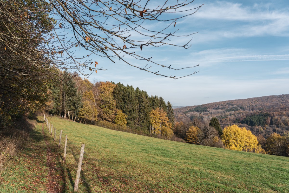 Herbst auf dem Primstaler Panoramapfad