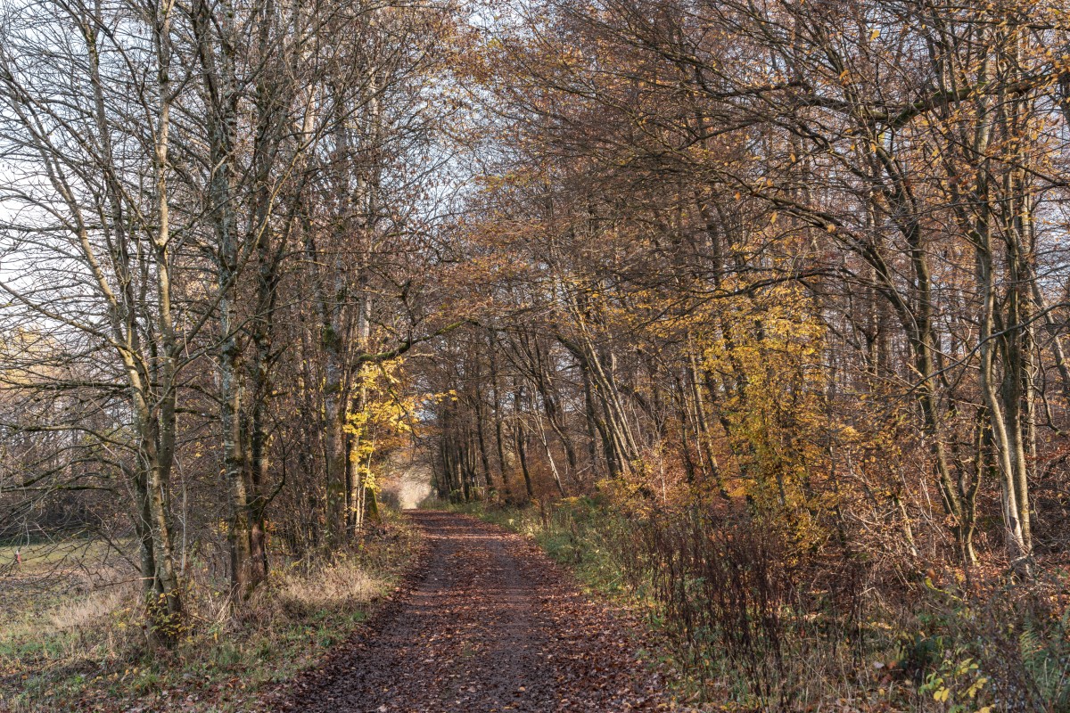 Primstaler Panoramapfad