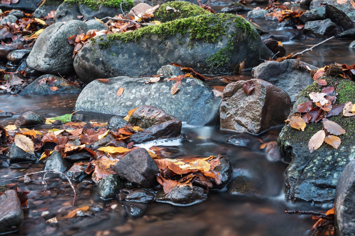 Langzeitbelichtung mit Herbstfarben im Wald bei Primstal