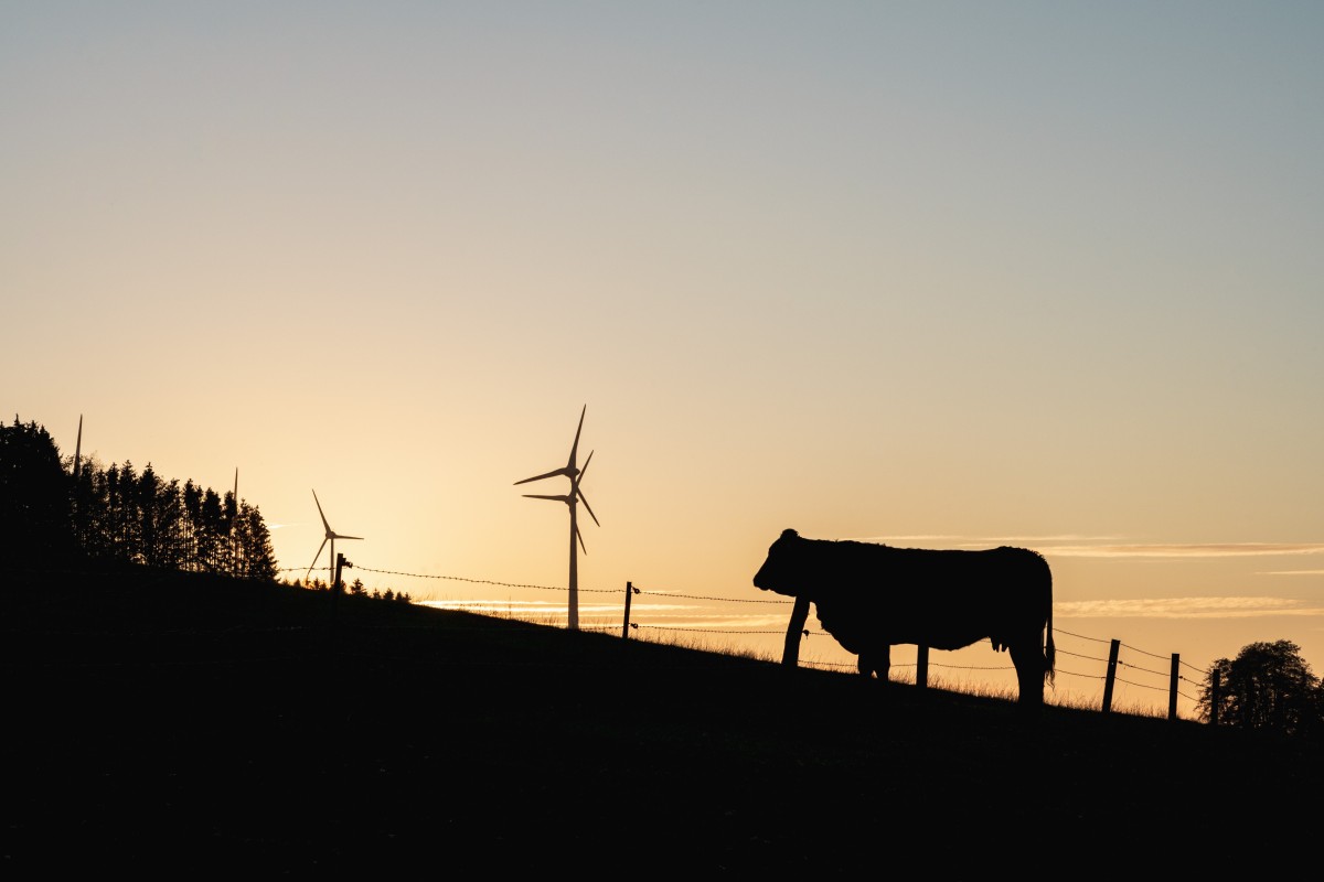 Silhouetten im Sonnenuntergang bei Primstal im Saarland