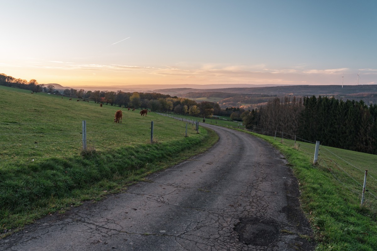 Panoramablick auf Primstal