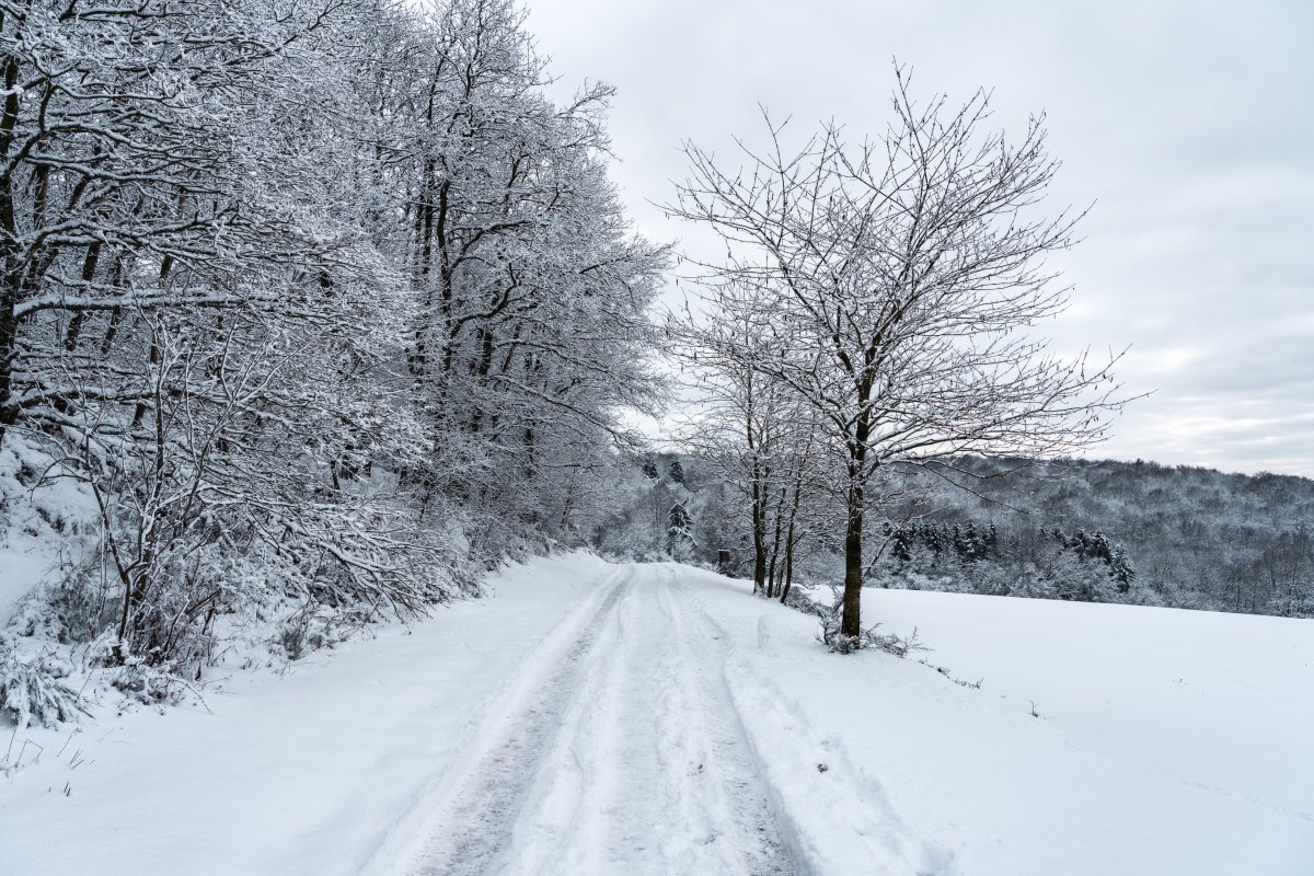 Winterwanderung am Hellerberg in Freisen