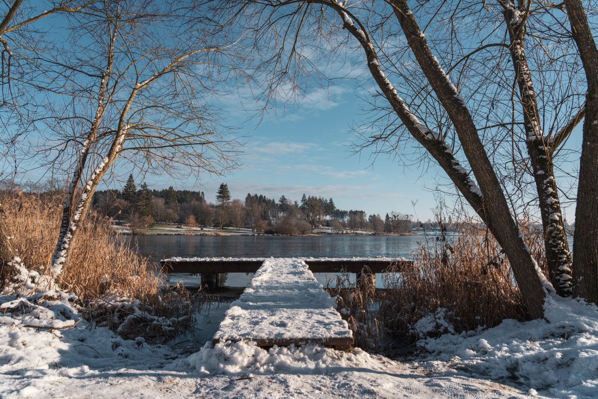 Losheimer Stausee im Saarland im Winter mit Schnee