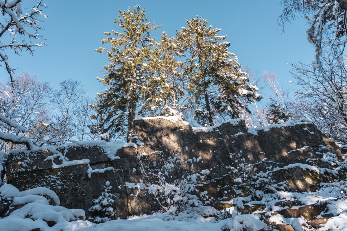 Bärenfels in Waldhölzbach mit Schnee im Winter