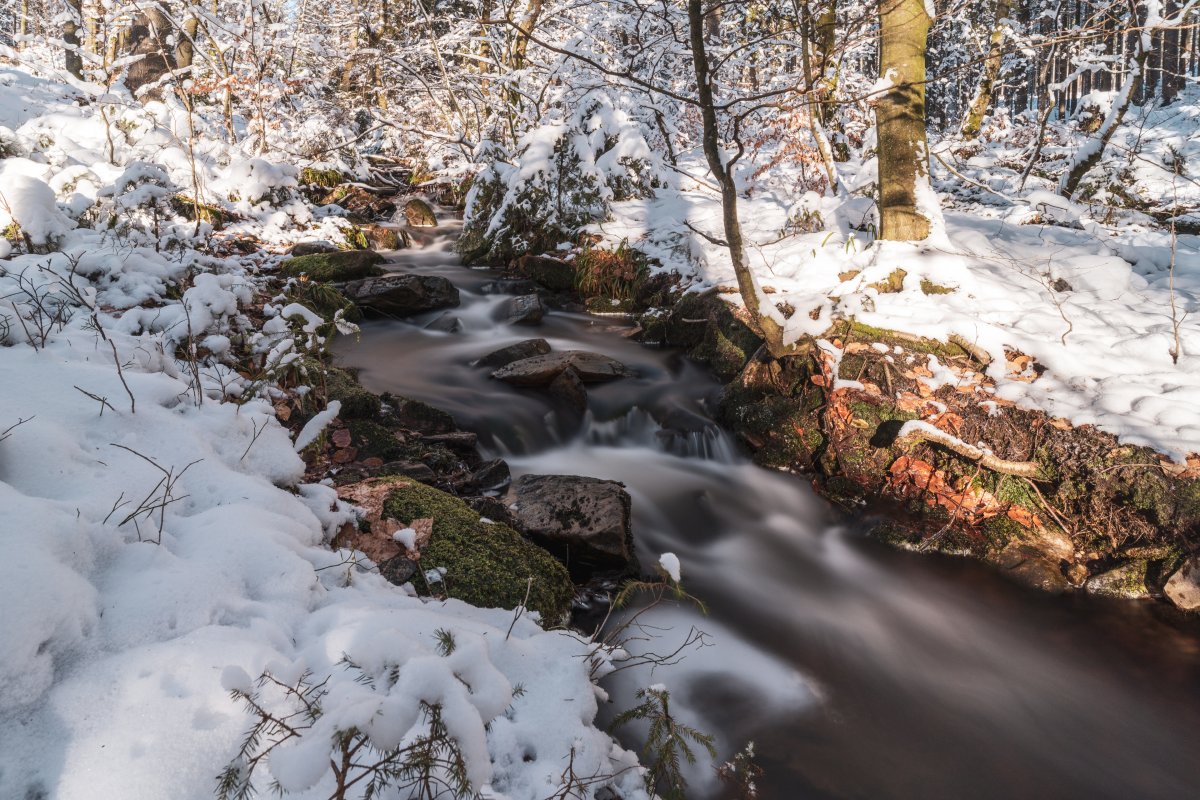 Felsenweg in Waldhölzbach mit Schnee im Winter