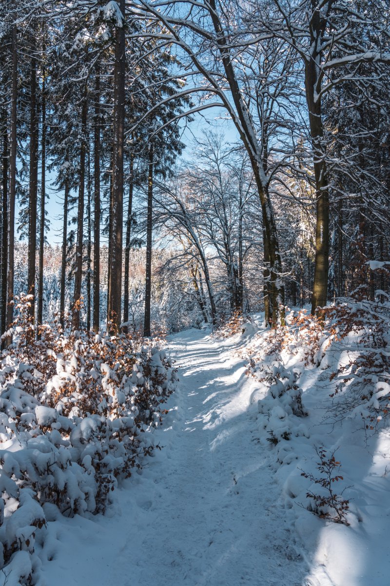 Felsenweg in Waldhölzbach mit Schnee im Winter