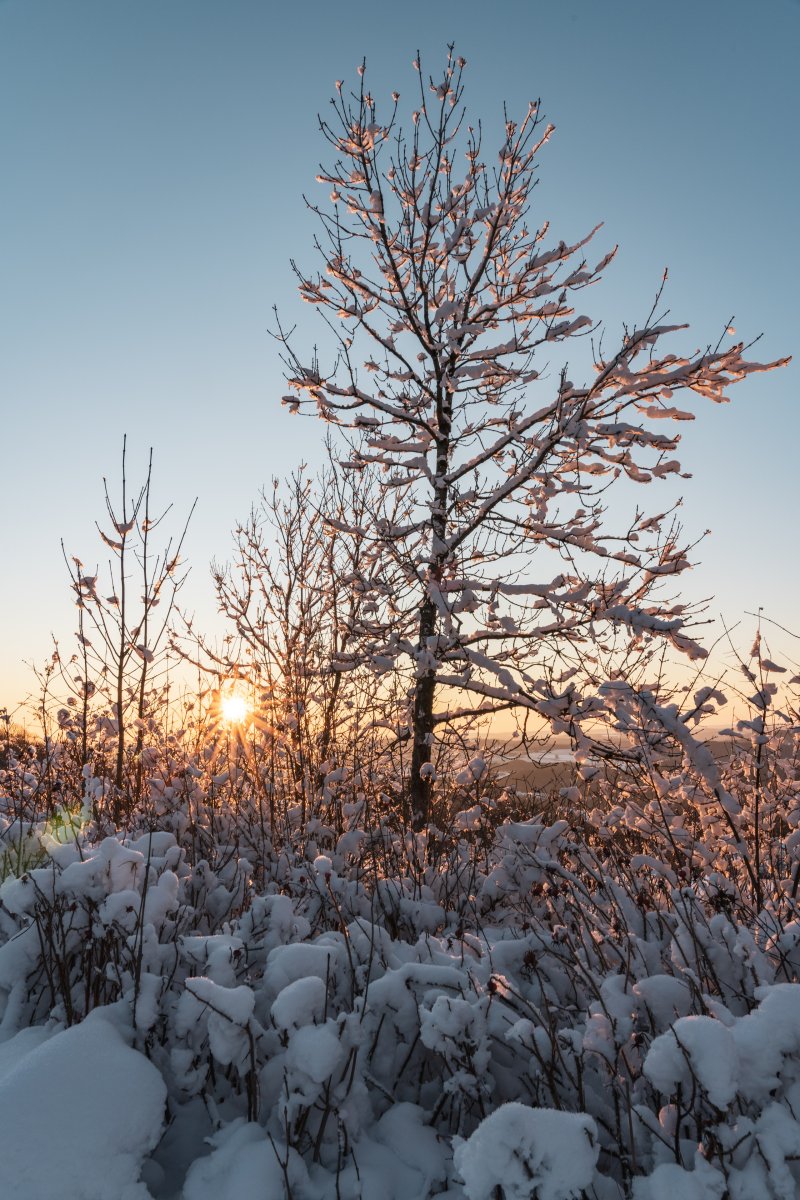 Sonnenuntergang am Schaumberg im Winter mit Schnee