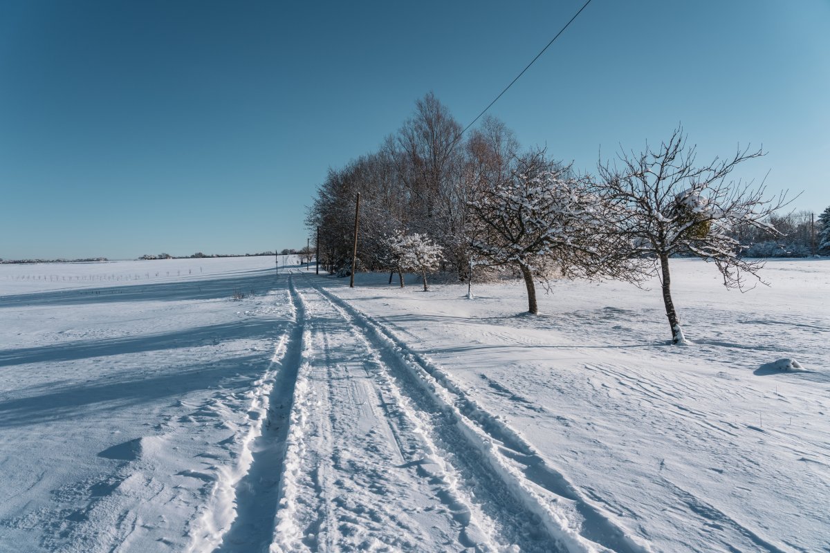 Verschneiter Weg im Saargau