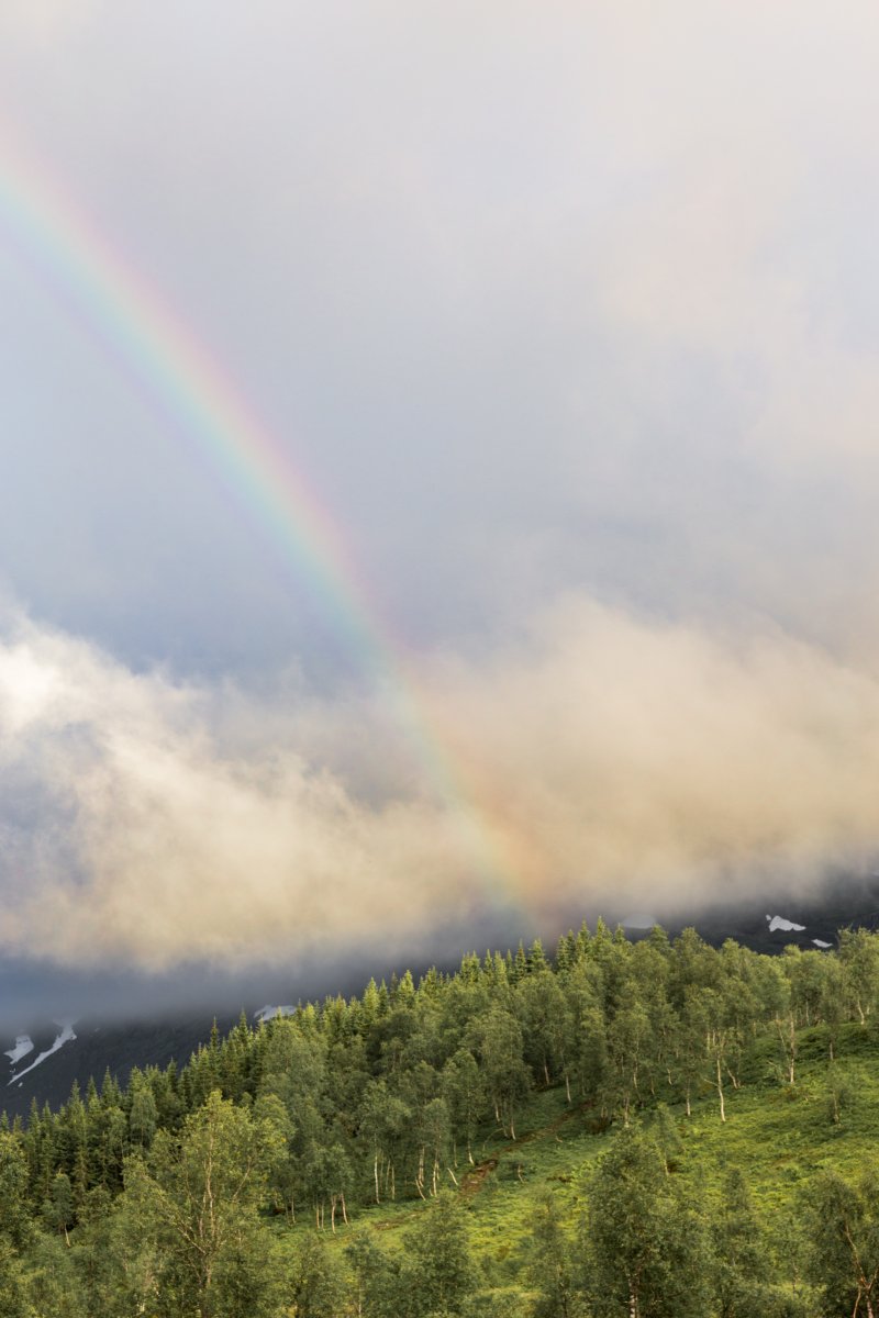 Regenbogen am Røldalsfjellet