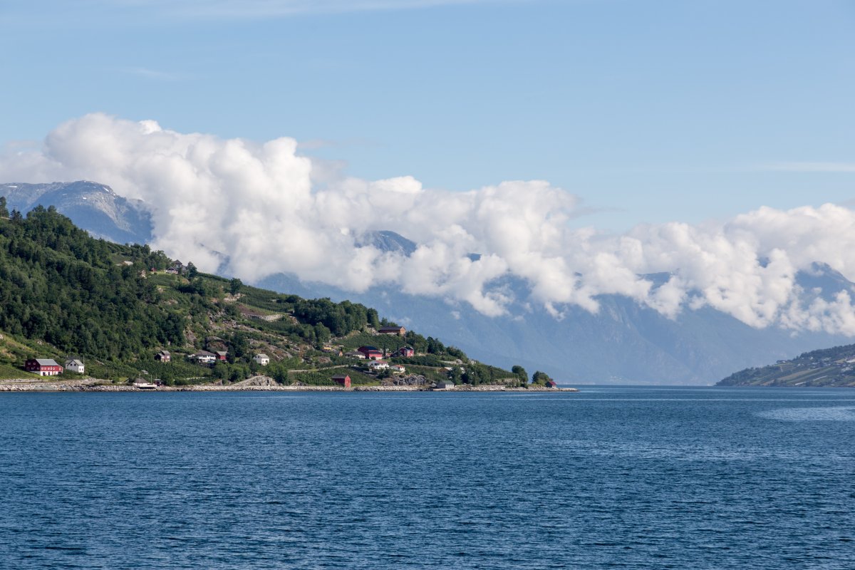 Sørfjord