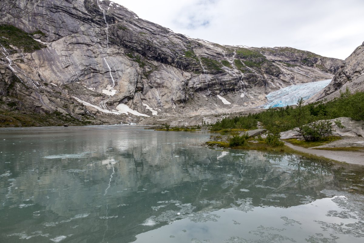 Nigardsbreen