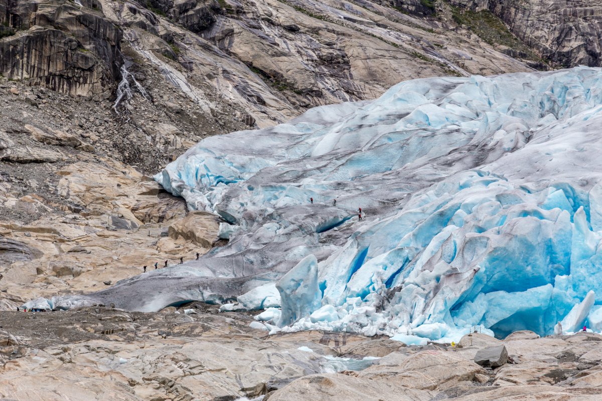 Nigardsbreen