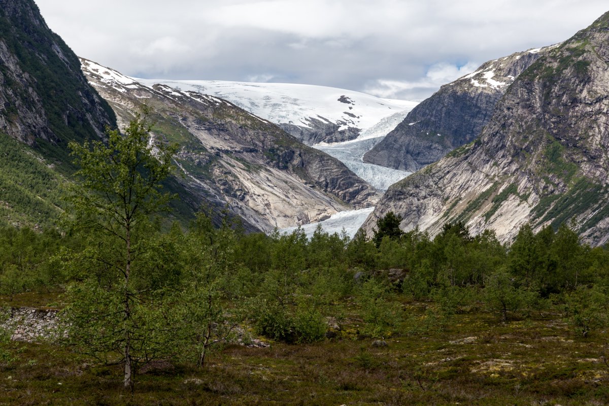 Nigardsbreen aus der Distanz