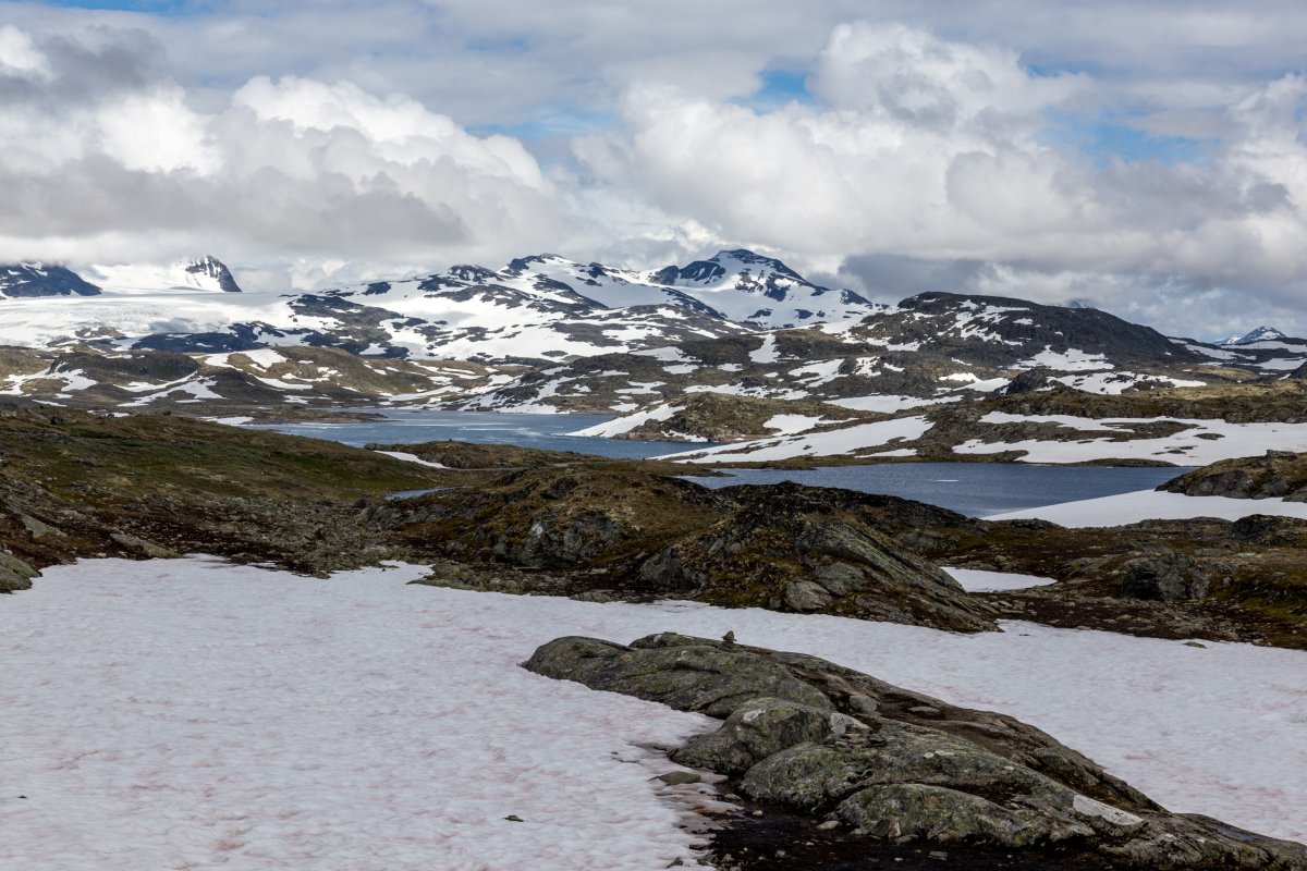 Sognefjellet