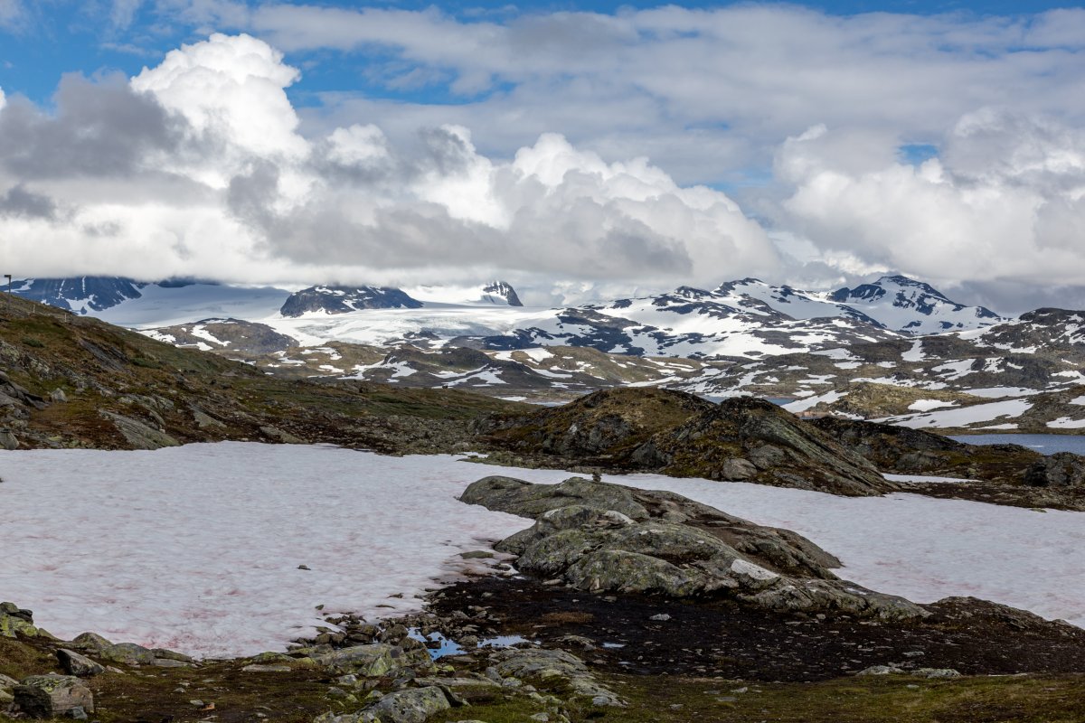 Sognefjellet