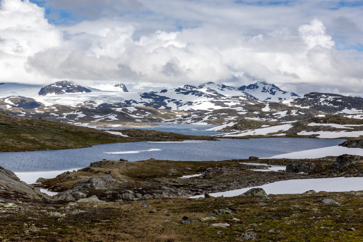 Sognefjellet