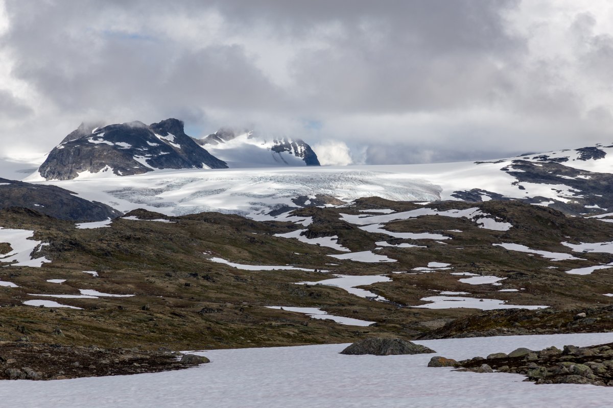 Sognefjellet