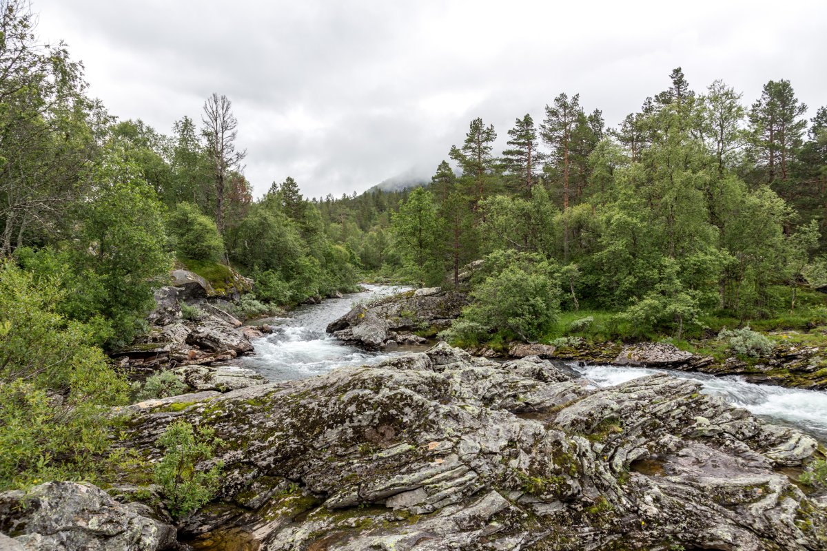 Norwegische Landschaft