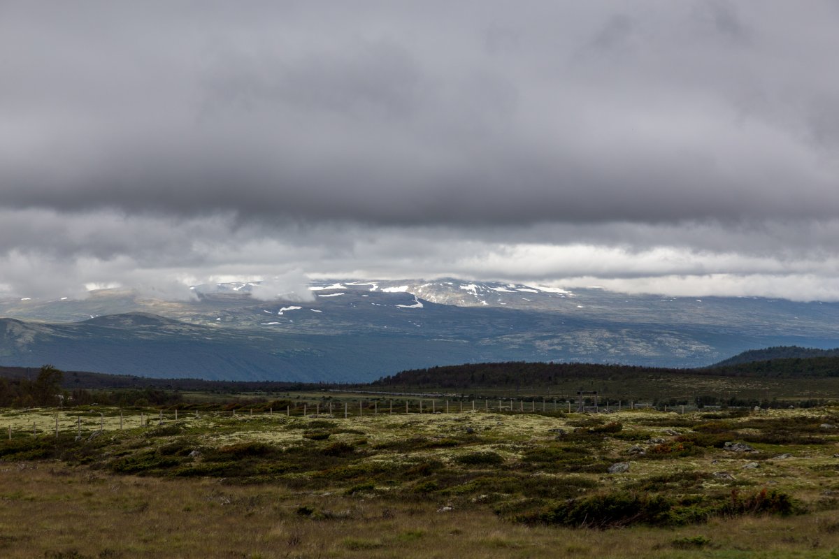 Dovrefjell