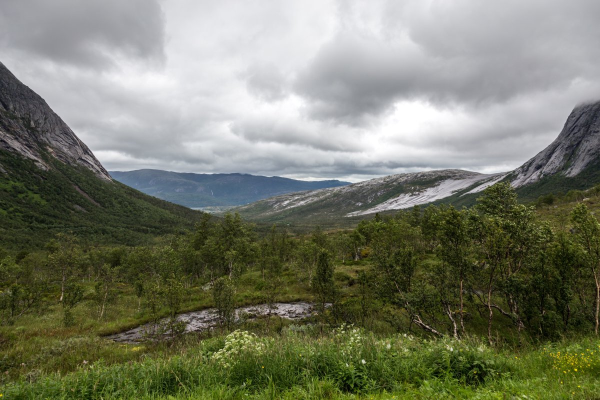 Norwegische Landschaft bei Skarberget