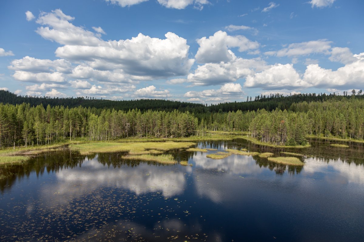 Landschaft im schwedischen Lappland