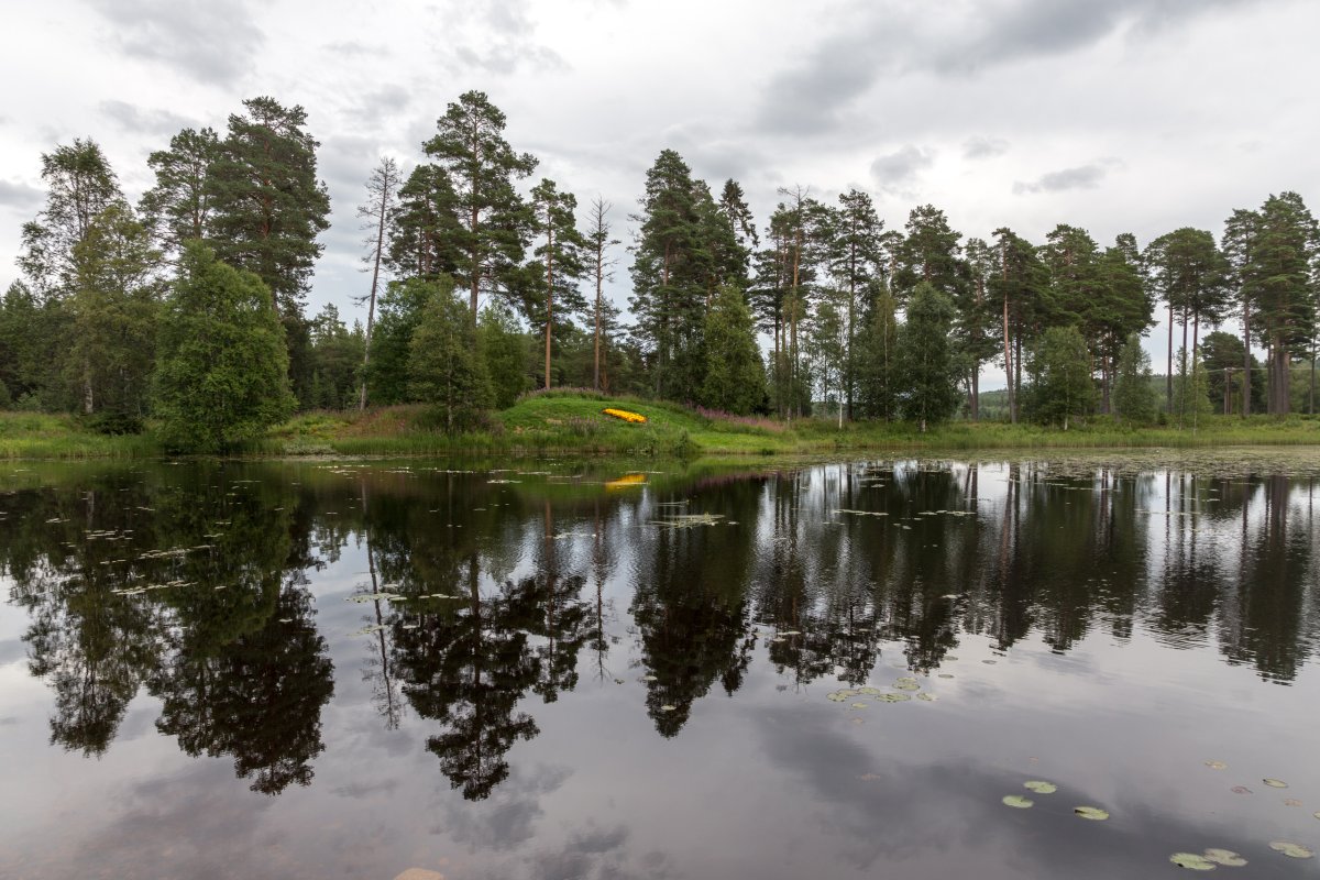 Spiegelungen auf einem See in Lappland