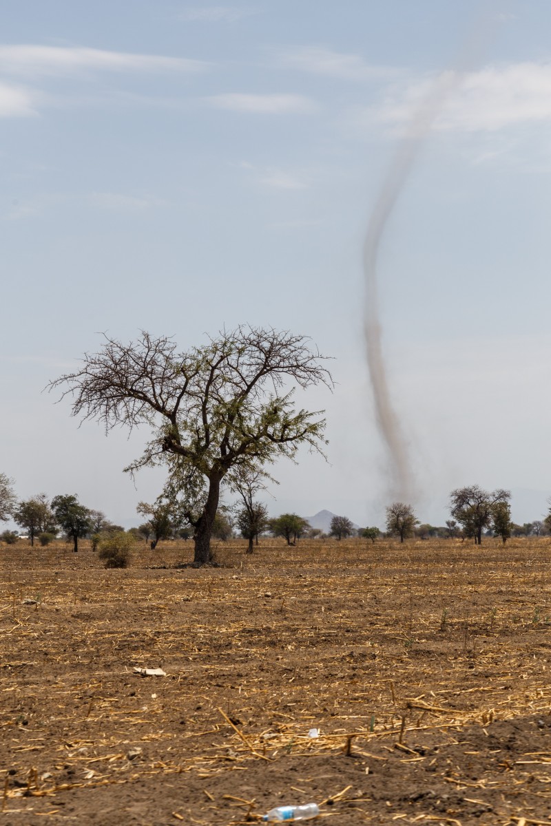 Staubteufel im Tarangire National Park