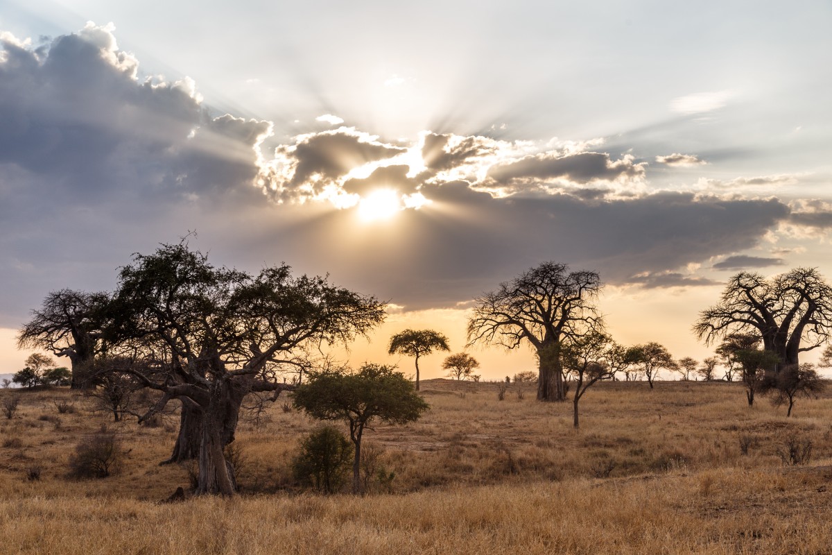 Tarangire National Park