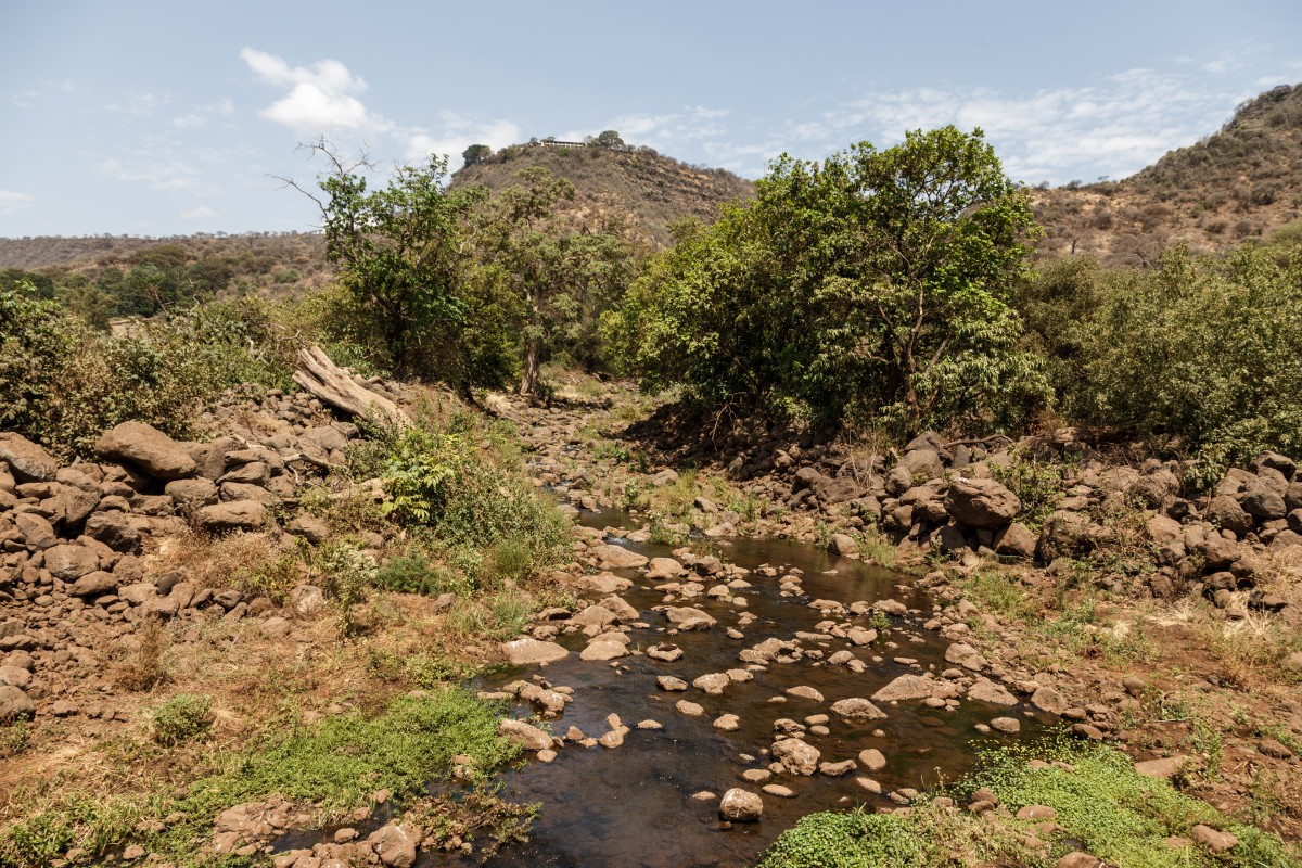 Lake Manyara National Park