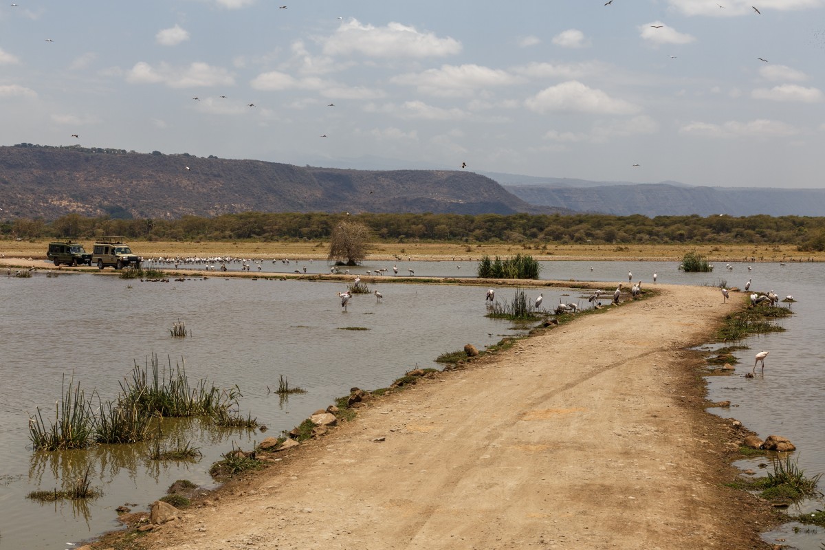 Lake Manyara National Park