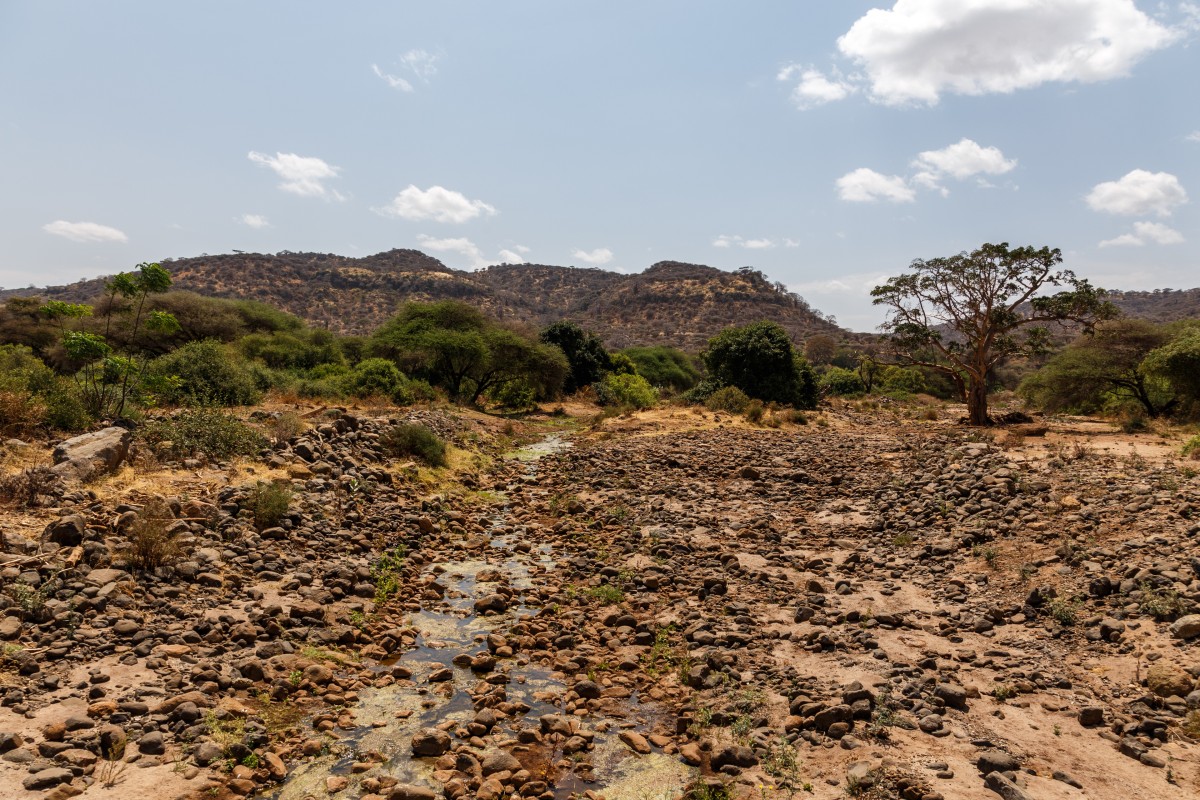 Lake Manyara National Park